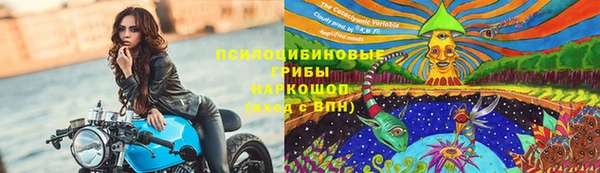 jwh Богородицк