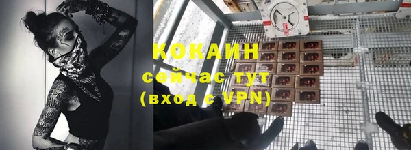 крисы Богданович