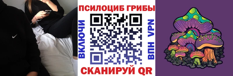сколько стоит  ОМГ ОМГ ONION  Псилоцибиновые грибы мухоморы  Балашиха 